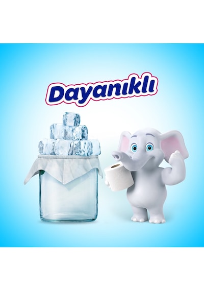 Selpak Extra Kaşmir Özlü 16 Lı Tuvalet Kağıdı