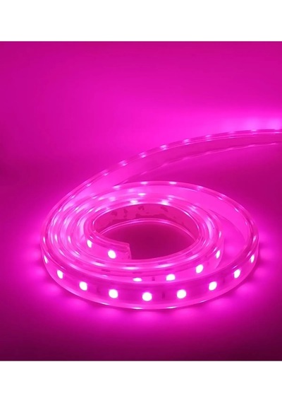 5metre Led Şerit 5050 Dc12v Pembe Renkli 60led/m Ip20 Işık Aydınlatma Lambası Hortum Kendinden Yapışkanlı