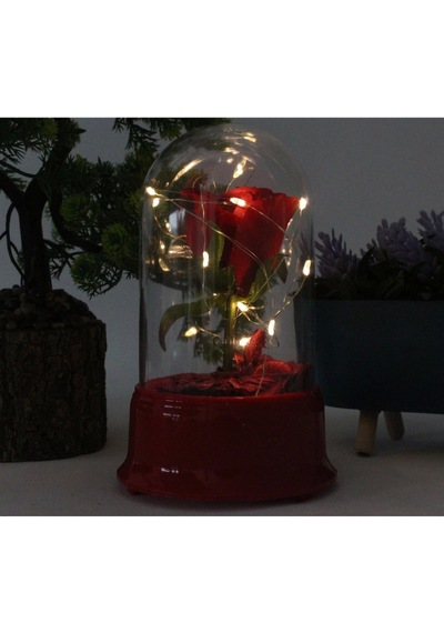 Hediyelik Led Işıklı Gül Fanus