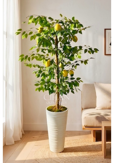 Premium Yapay Limon Ağacı 170 Cm - 8 Limonlu 56x30x20 Kumsal Saksılı Beyaz