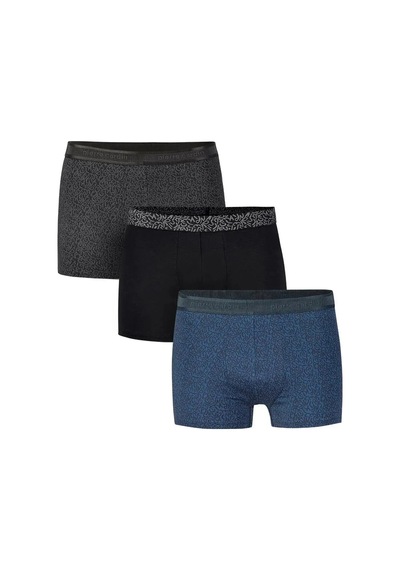 Pierre Cardin 366 Erkek Modal 3'lü Boxer-mix Çok Renkli
