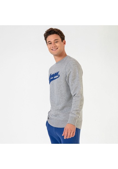 Routefield Routefıeld Routefıeld Hook Erkek Sweatshırt 23394 Gri