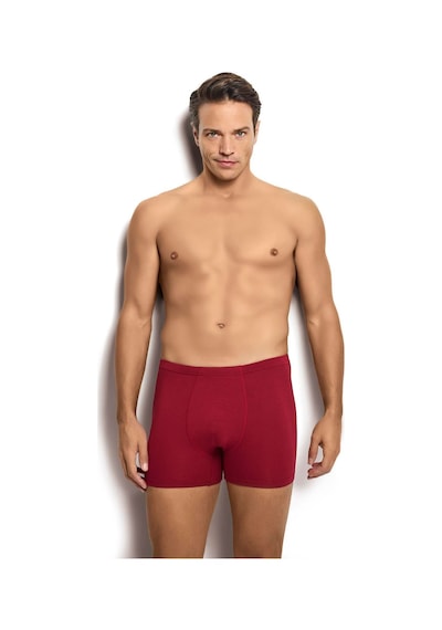 Jiber Erkek Bambu Bordo Boxer 278