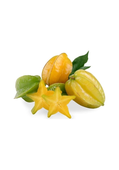 Meyve Verir Durumda 20 Lt Saksıda Carambola Yıldız Meyvesi Fidanı