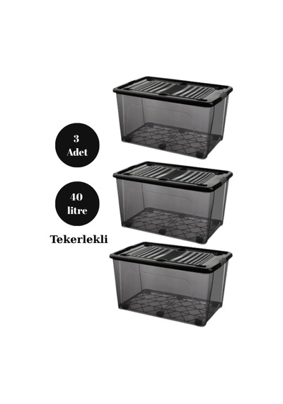 40 Litre 3 Adet Saklama Kutusu Düzenleyici Siyah