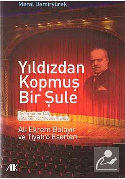 Yıldızdan Kopmuş Bir Şule - Meral Demiryürek - Akademik Kitaplar