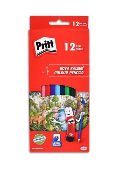 12 Renk Kuru Boya Diğer