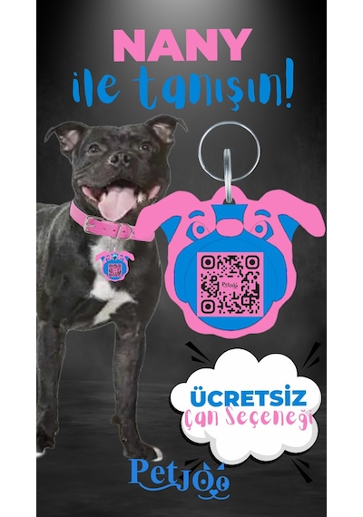 Petjoo 17.Nany Mavi-Pembe Qr'lı Köpek Künyesi