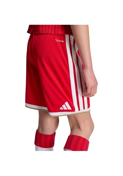 Adidas Çocuk Şort Fcb H Sho Y Jz3084 Kırmızı