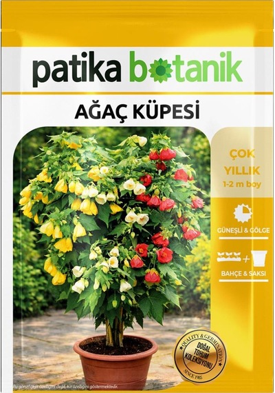30 Adet Ağaç Küpesi Çiçek Tohumu (Abutilon Hybridum)