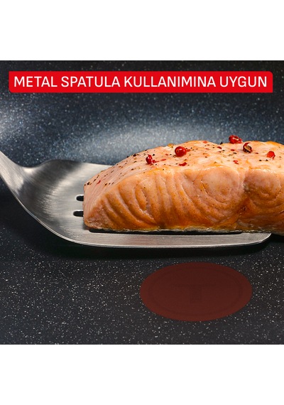Tefal Expertise+ 5x Krep Tava - 25 Cm 001 Siyah