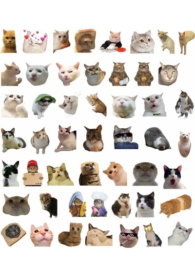 Çılgın Cats Sticker Seti Laptop Ajanda Notebook Tablet Telefon Defter Etiket Bullet Journal Diğer