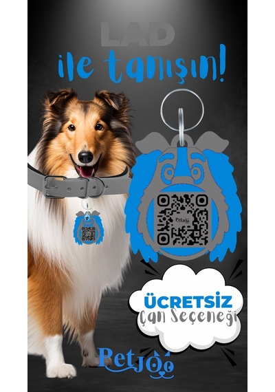 Petjoo 23.Lad Mavi-Gri Qr'lı Köpek Künyesi