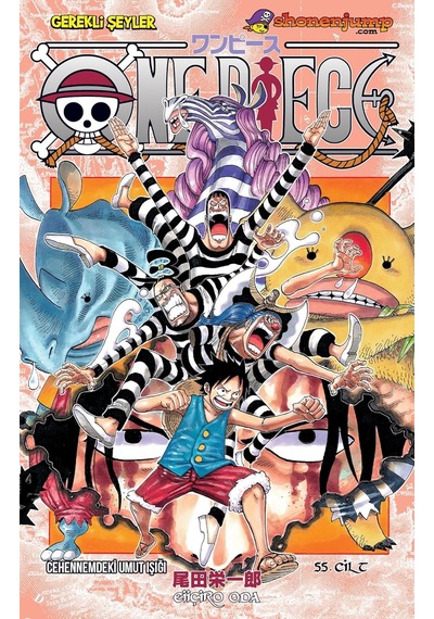 One Piece 55. Cilt