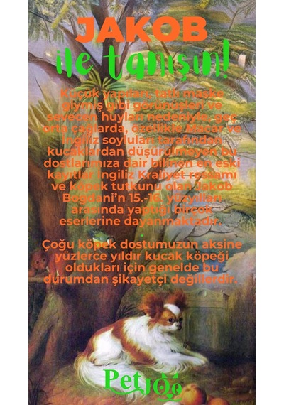 Petjoo 8.Jakob Yeşil-Turuncu Qr'lı Köpek Künyesi