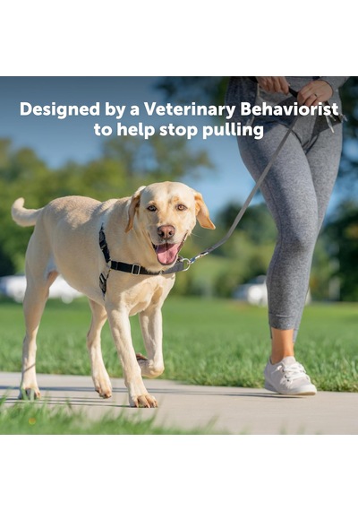 Easy Walk No-pull Köpek Göğüs Tasması, Çekmeyi Önlemeye Yardımcı, Kontrolü Ele Alın Ve Tasmayla Siyah/gümüş