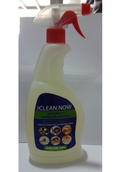 Lion Clean Now Çok Amaçlı Temizlik Maddesi 750 ML