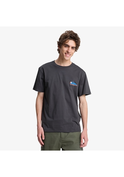 Quiksilver Fruits Tide Erkek Gri T-shirt Eqyzt08285
