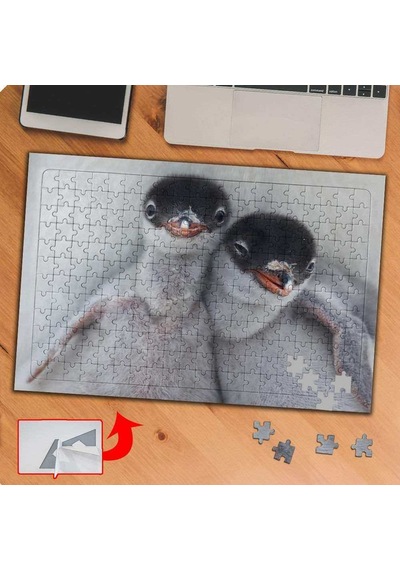 Sevimli Yabani Penguenler 240 Parça Puzzle Yapboz Tablo-p109