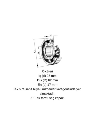 Ors 6305 Zz G100 C3 Bilya 25x62x17