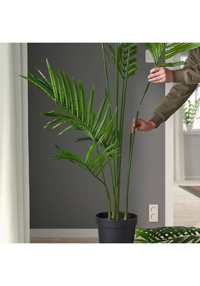 Ikea Fejka Yapay Bitki, Yeşil, 21 Cm, İç/dış Mekan Howea Forsteriana