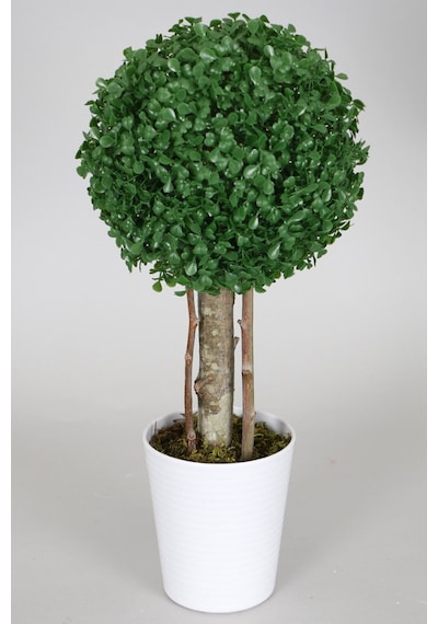 Yapay Çiçek Deposu Yapay Küçük Şimşir Ağacı 50 Cm Beyaz Saksılı
