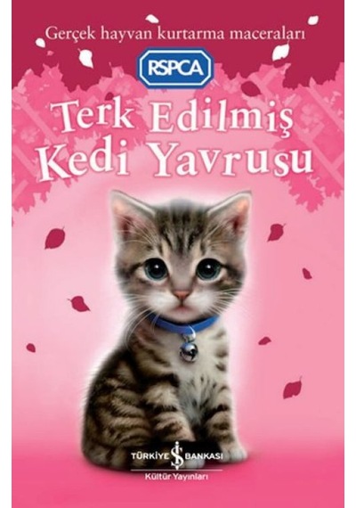 Terk Edilmiş Kedi Yavrusu - Qhdh-811625