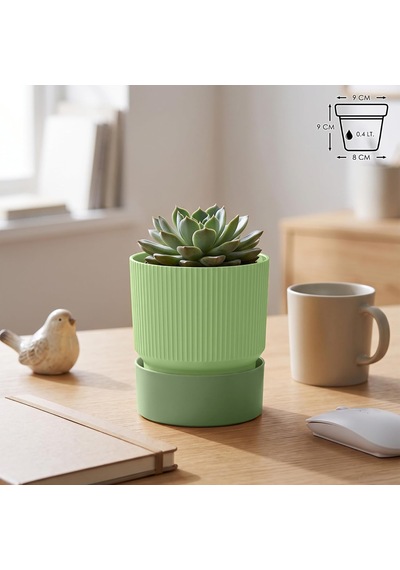 Iksora Saksı Dekoratif Tabaklı Çiçek Kaktüs Saksısı Mat Plastik 1 Adet, Yeşil, 0.4 Litre