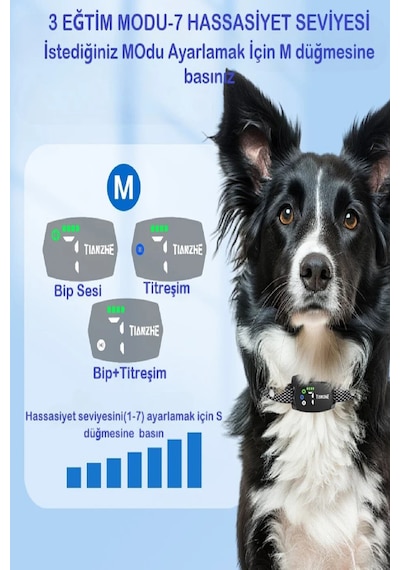 Köpek Havlama Önleyici Tasması Akıllı Şarjlı Ayarlanabilir Su Dayanıklı Köpek Eğitim Tasması