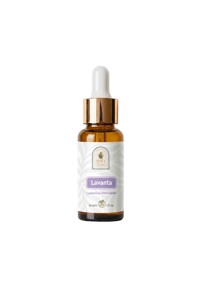 Lavanta Bakım Seti 3 Lü %100 Saf Lavanta Suyu 100 Ml, Lavanta Uçucu Yağı 20 Ml, Lavanta Yağı 10 Ml