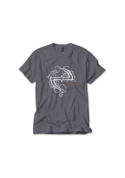 Evanescence Logo Gri Tişört
