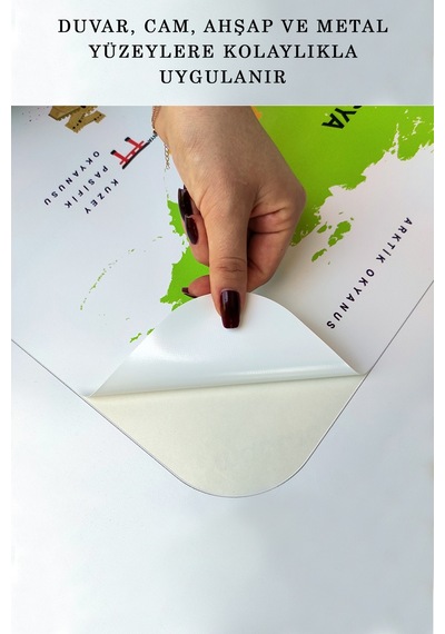 Türkçe Eğitici Ülke Ve Başkent Detaylı Atlası Dünya Haritası Duvar Sticker -60x105-3831 Çok Renkli