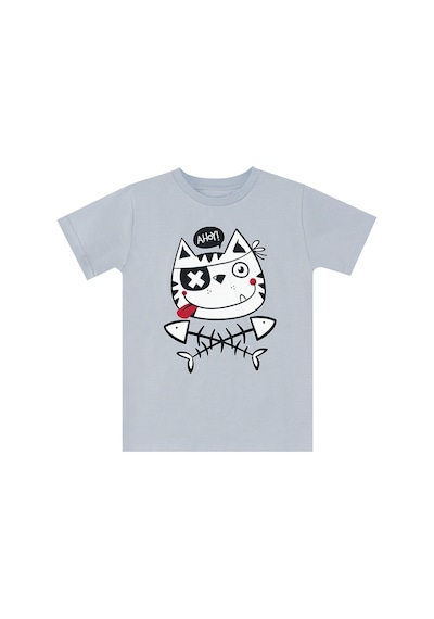 Denokids Ahoy Kedi Erkek Çocuk T-shirt Şort Takım Çok Renkli