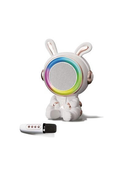 20w 2400 Mah Karaoke Mikrofonlu Ledli Bluetooth Hoparlör Bts-252