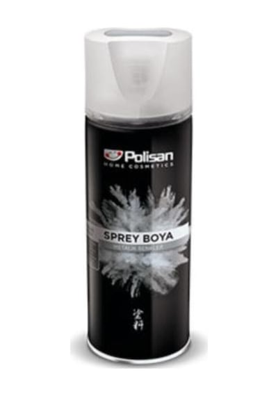 Metalik Sprey Gümüş Ral 9006
