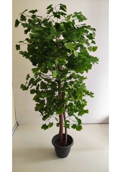 Rüzgar Yapay Çiçekçilik 180 Cm Yeşil Sakura Ağacı Yeşil