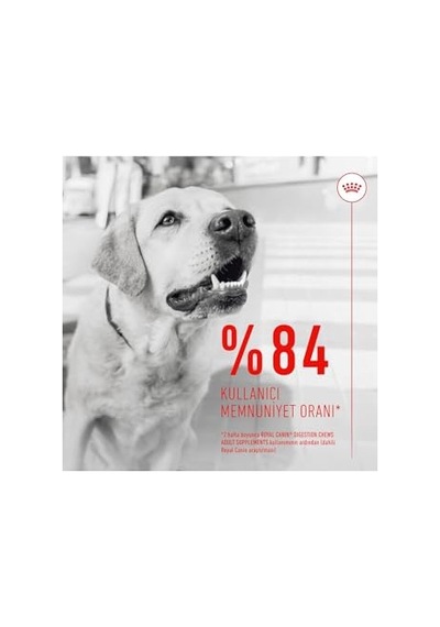 Ayrex Digestion Chews Yetişkin Köpekler İçin Sindirim Sistemini Destekleyen Tamamlayıcı Ödül Maması 160g