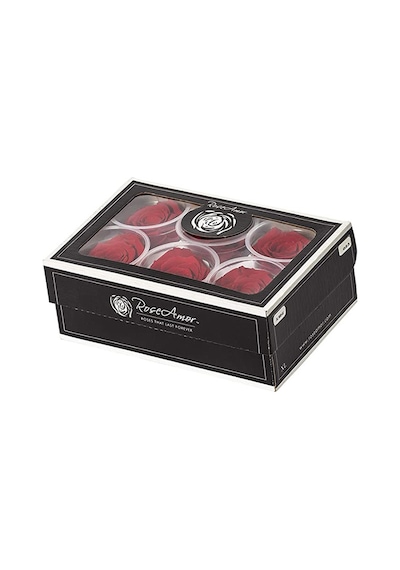 Rose Amor red-02 kırmızı şoklanmış solmaz gül XL