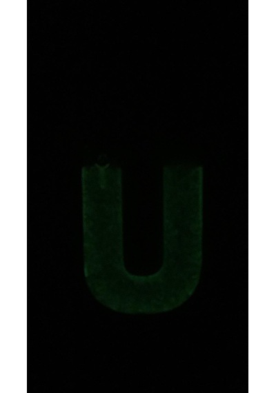 U Harfi Fosforlu Neon Yeşil Renk Parlak Simli Gold Aksesuarlı Ana
