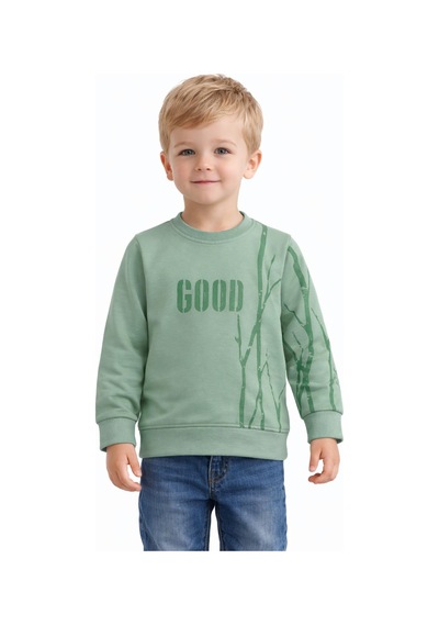 Baglan Erkek Çocuk Önü Arkası Baskılı Sweatshirt Bgl-st05241 Açık Yeşil