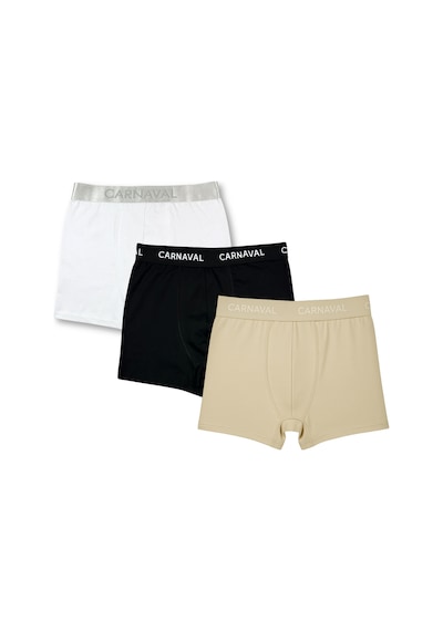Carnaval Socks Carnaval Essential Erkek Boxer 3 Lü Set Çoklu