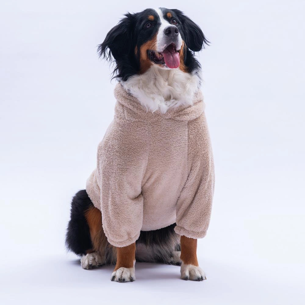 Bej Lucca Teddy Hoodie Ayı Kulaklı Peluş Orta Büyük Irklar Köpek Kıyafeti Köpek Sweati