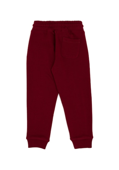 U.s. Polo Assn. Erkek Çocuk Bordo Eşofman Altı 50293482-vr014 Bordo U.s. Polo Assn. Erkek Çocuk Bordo Eşofman Altı 50293482-vr014 Bordo