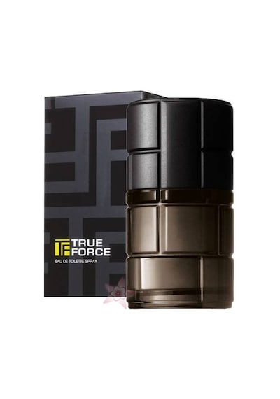 Avon True Force Erkek Parfümü EDT 75 ML