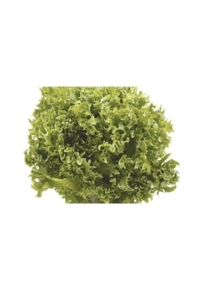 Marul Arapsaçı Kıvırcık Tohumu 10 Gr
