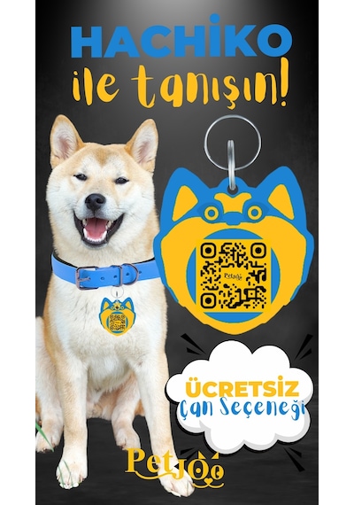 Petjoo 19.Hachiko Sarı-Mavi Qr'lı Köpek Künyesi