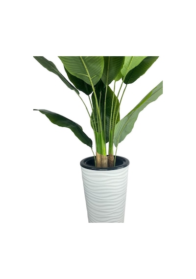 Yapay Starliçe Muz Ağacı Beyaz Kumsal Vazoda Muz Ağacı Yapay Starliçe 150cm 12 Yaprak