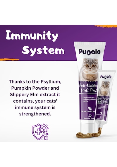 Hairball Malt Paste Kediler Için Tüy Yumağı Önleyen Vitamin Katkılı Malt Macun 100 Ml