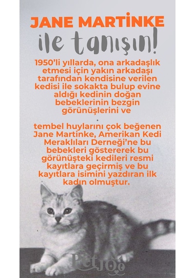 Petjoo 5.Jane Martinke Gri-Turuncu Qr'lı Kedi Künyesi