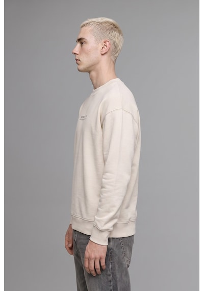 Defacto Boxy Fit Bisiklet Yaka Baskılı Sweatshirt X8282az25aubg672 Bej